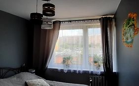 Apartament Grodzka